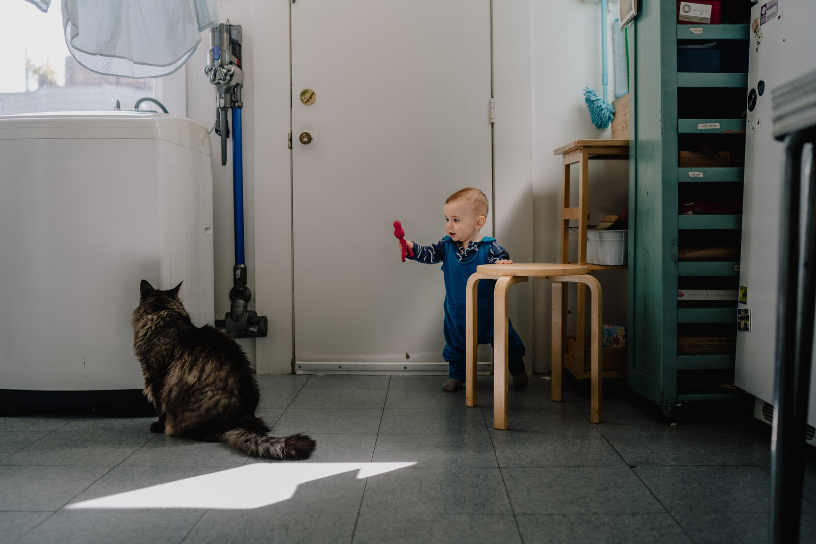 Family photography