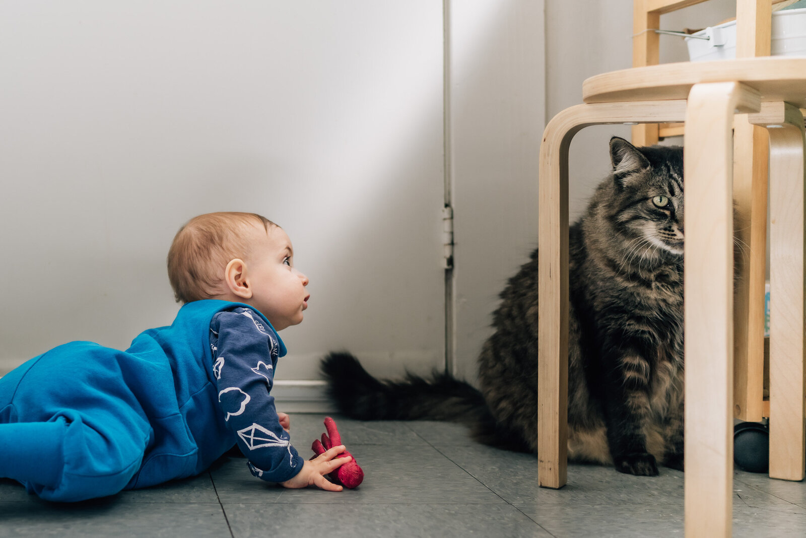 Family photography