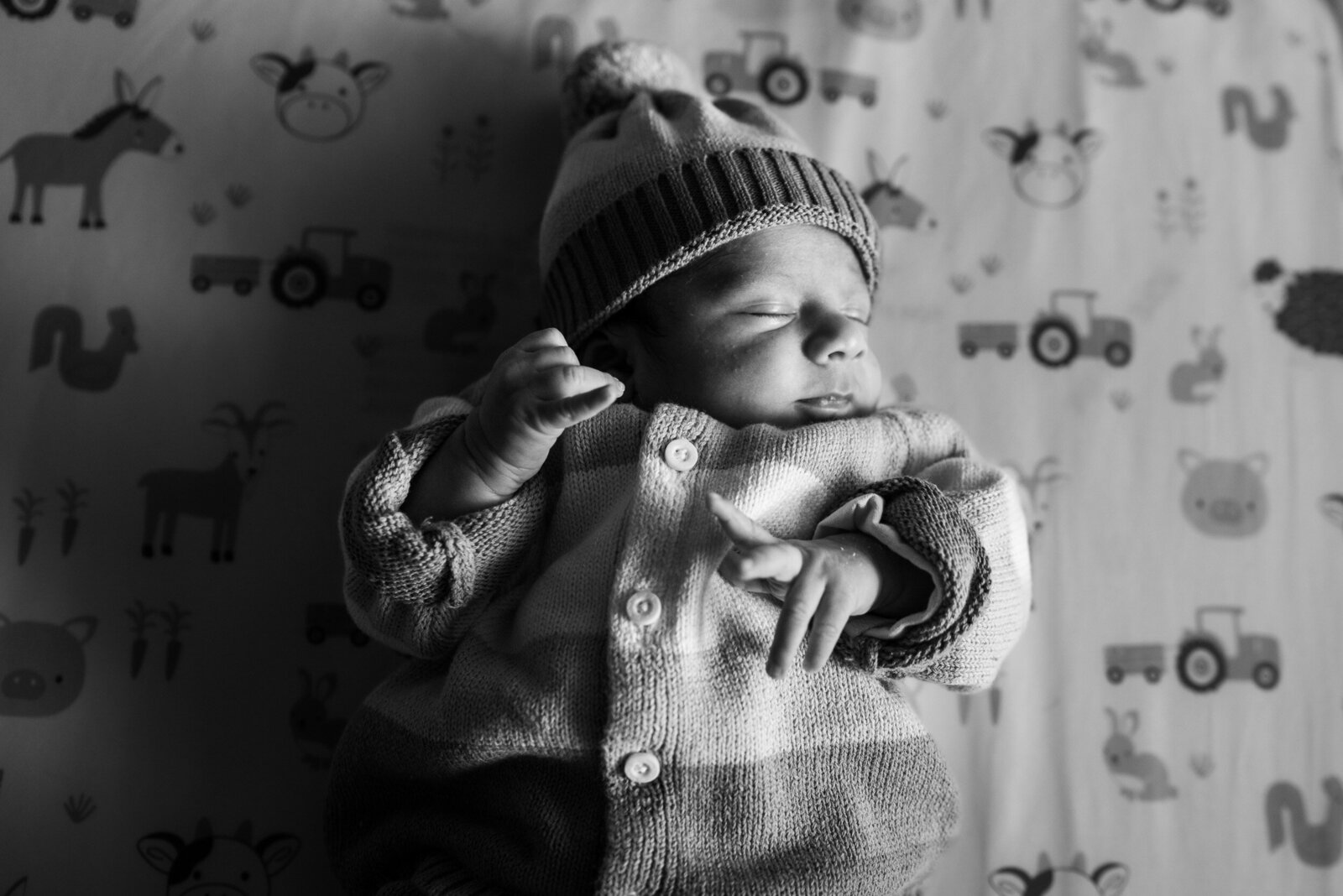 Newborn photography